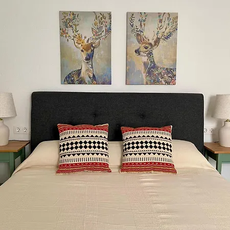 Nuevo Luz De Conil Aire Aconcionado Y Wifi -solo Familias O Pareja- No Aceptamos Grupos- Appartement Conil De La Frontera