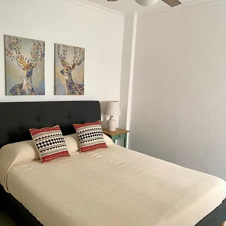 Nuevo Luz De Conil Aire Aconcionado Y Wifi -solo Familias O Pareja- No Aceptamos Grupos- Appartement